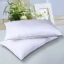 A Pair of Fiber Pillows