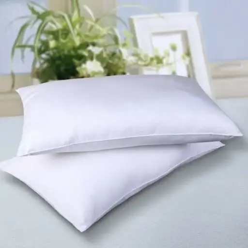 A Pair of Fiber Pillows